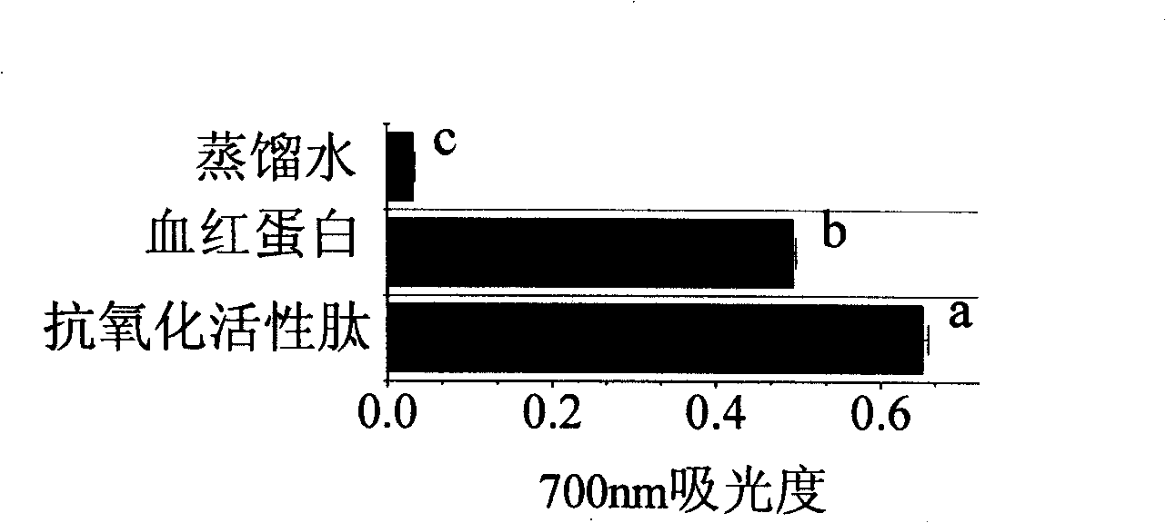 Antioxidation active peptide and preparation thereof