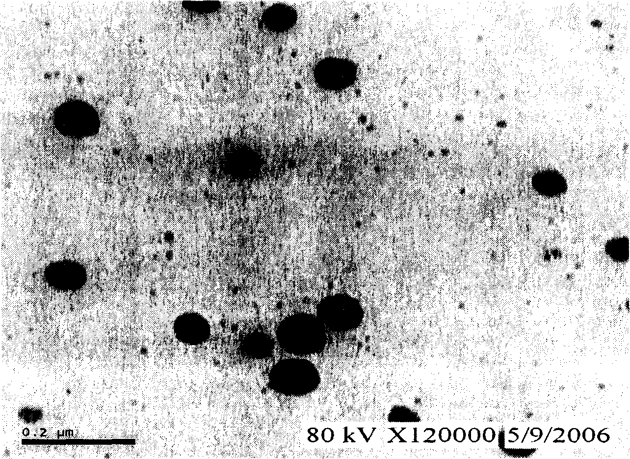 Nanometer berberine hydrochloride emulsion and its prepn process