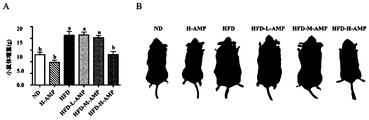 Application of microbial metabolite in relieving glucose and lipid metabolism disorder