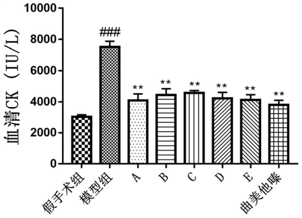 Anti-myocardial ischemia-hypoxia polypeptide, composition and application thereof, and polypeptide drug