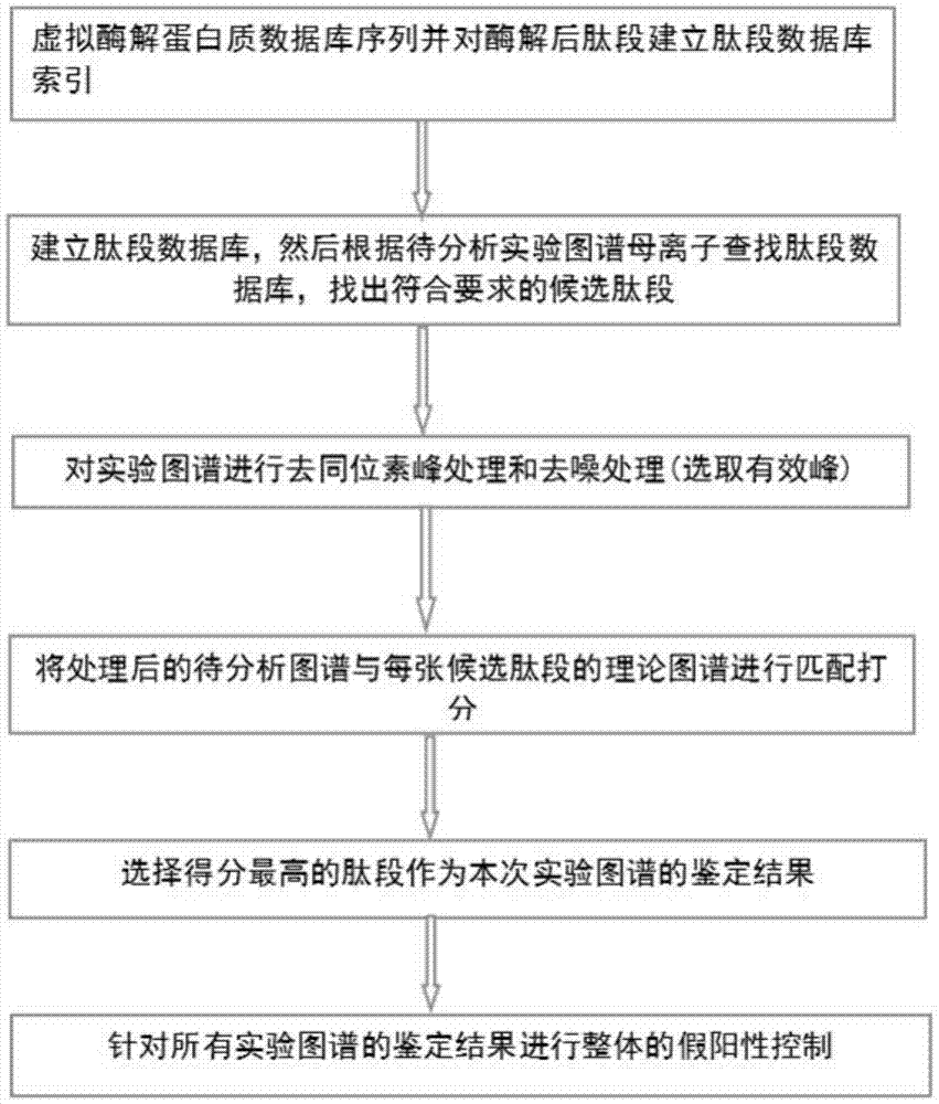 Identification method of protein by MS/MS based on Poisson distribution model