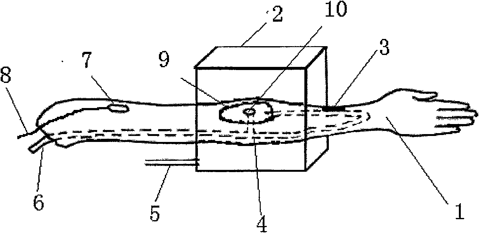 Model for training hemostasis operation of artery and vein