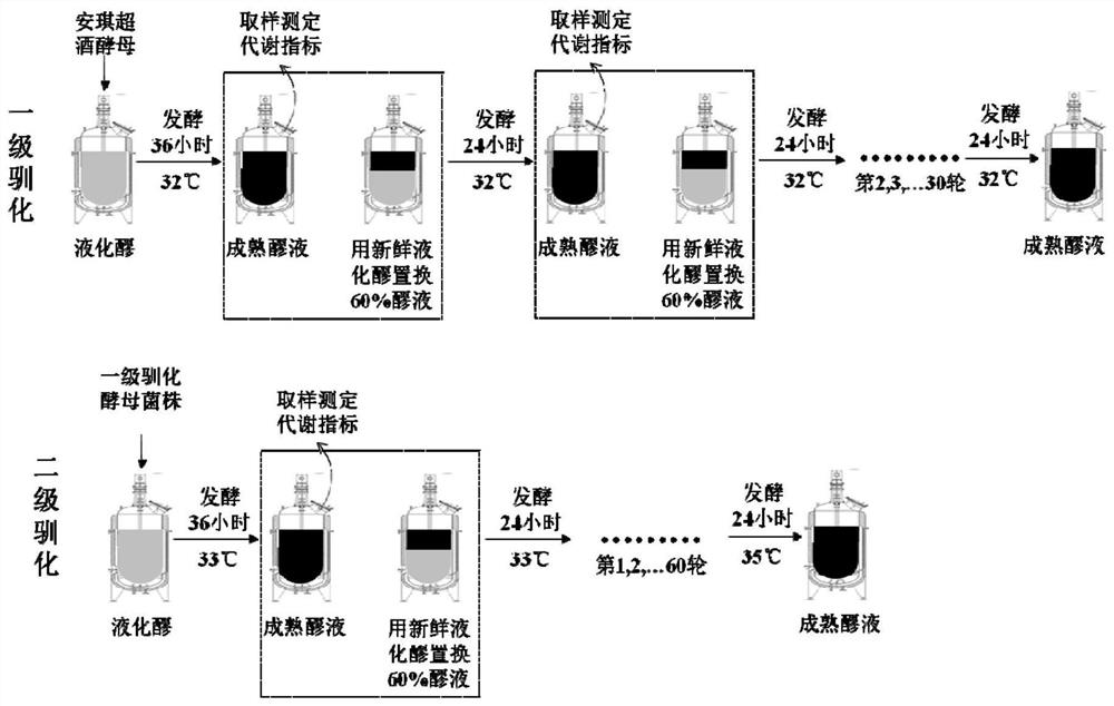 A kind of domestication method of industrial saccharomyces cerevisiae