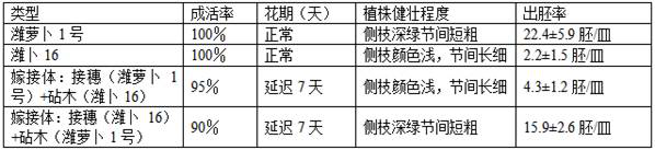 Method for improving germplasm creation efficiency of radish