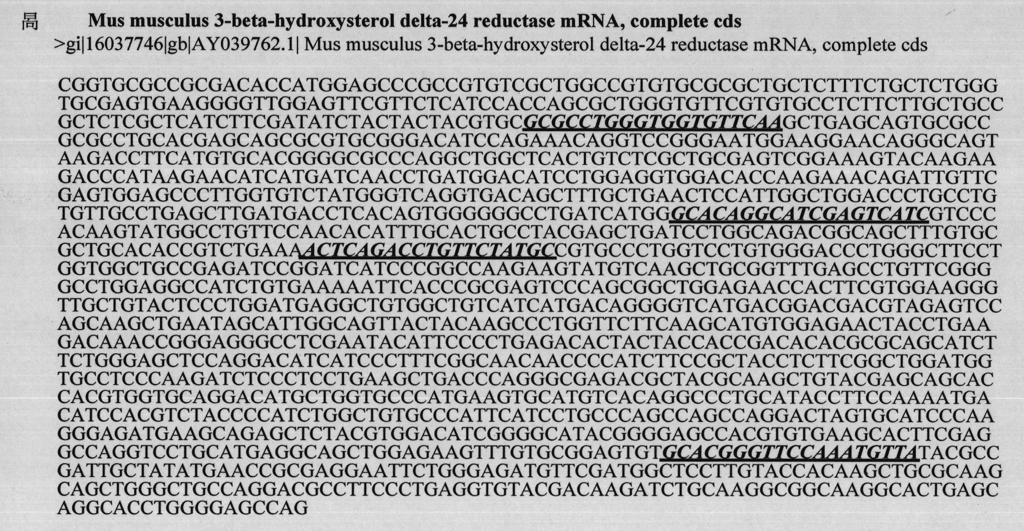 mDHCR24 interference target spot sequence and application thereof