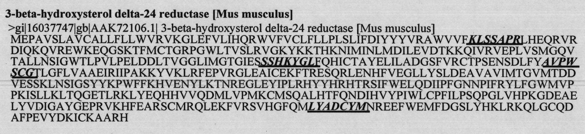 mDHCR24 interference target spot sequence and application thereof