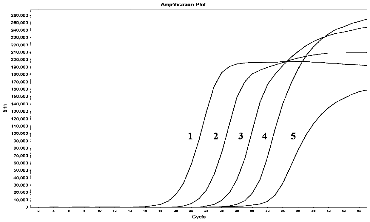 Multiple RT-qPCR kit and primer probe composition for coronavirus typing detection and use method of RT-qPCR kit and primer probe composition