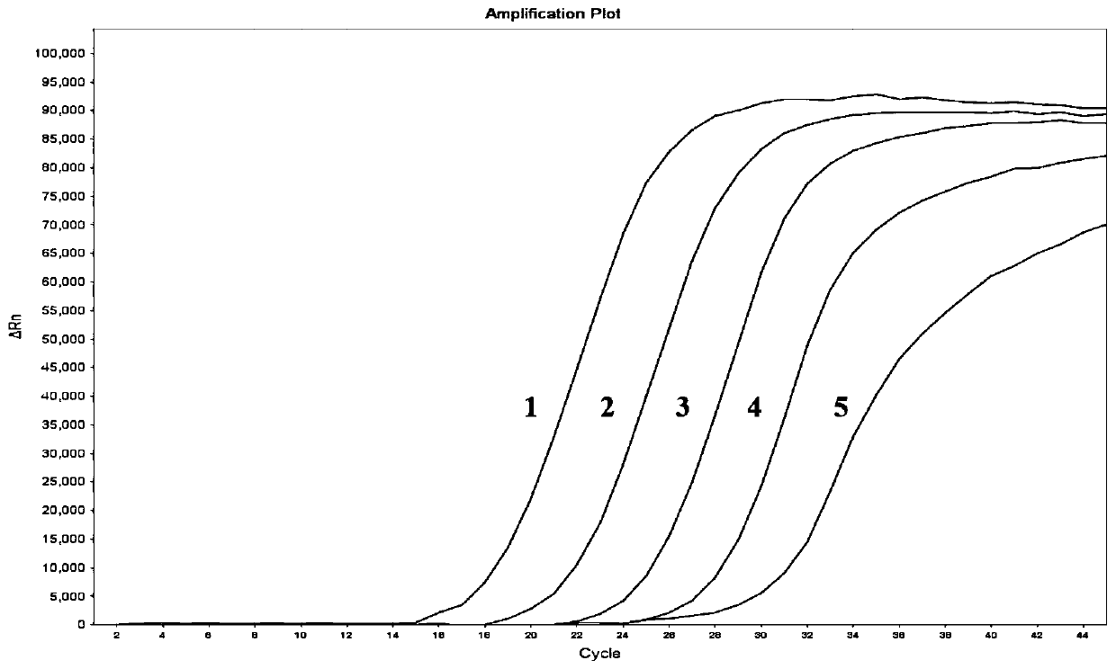 Multiple RT-qPCR kit and primer probe composition for coronavirus typing detection and use method of RT-qPCR kit and primer probe composition