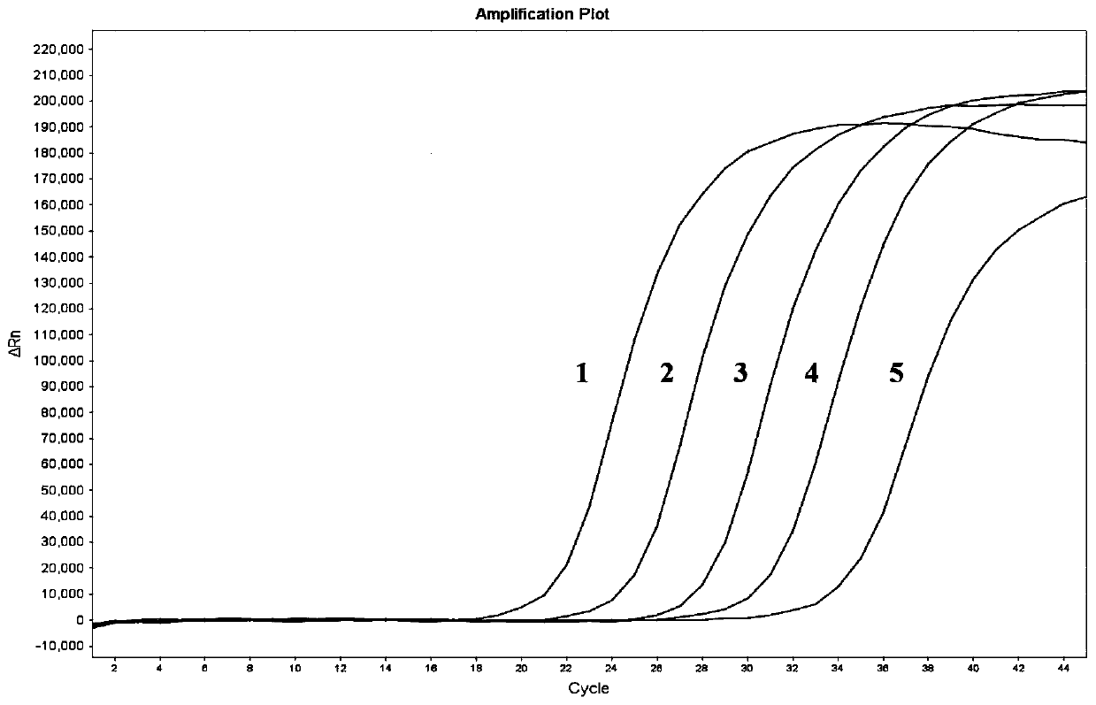 Multiple RT-qPCR kit and primer probe composition for coronavirus typing detection and use method of RT-qPCR kit and primer probe composition