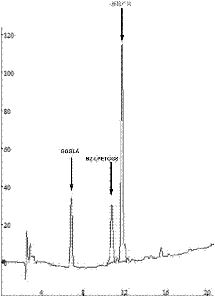 Method for modifying protein by using transpeptidase Sortase A