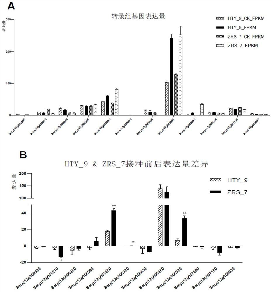 Tomato bacterial wilt resistance gene Slalpha-KGDH E2 and application thereof