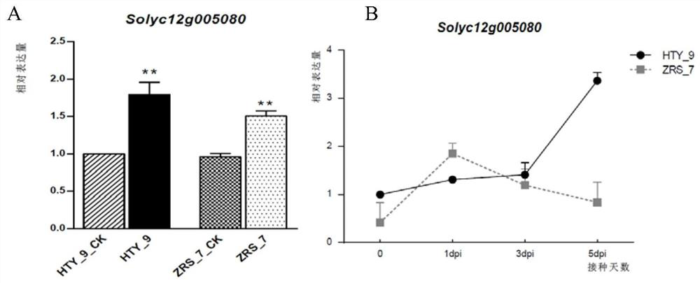 Tomato bacterial wilt resistance gene Slalpha-KGDH E2 and application thereof