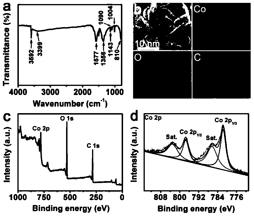 Preparation method of self-supporting Co-MOF/TM nanosheet array, electrochemical biosensor and application