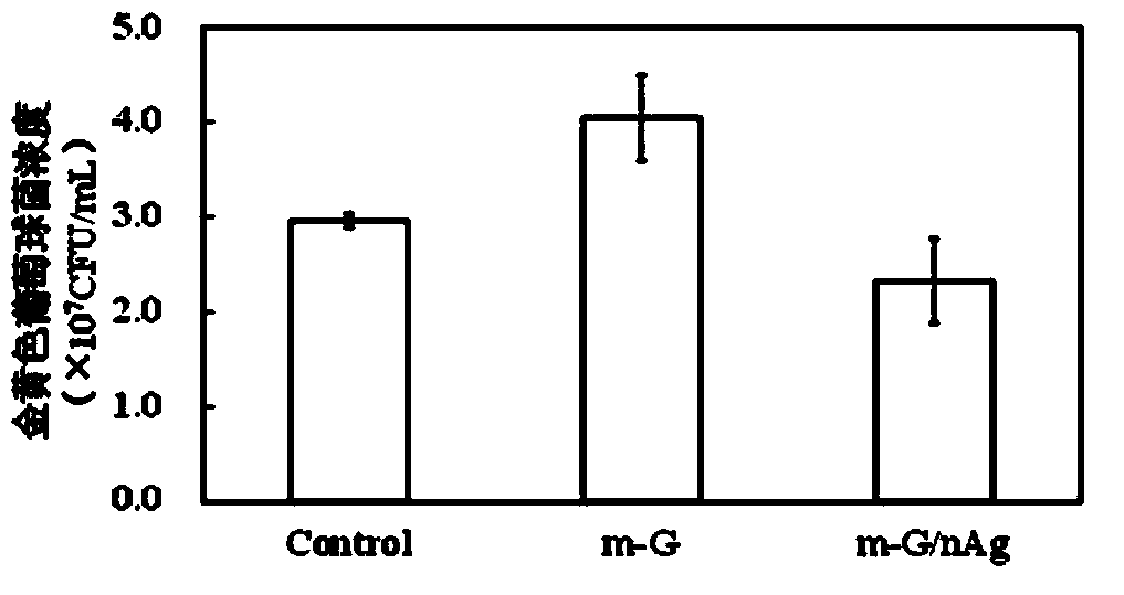 Gelatin/nano silver composite material decorated by microbial transglutaminase as well as preparation method and application thereof