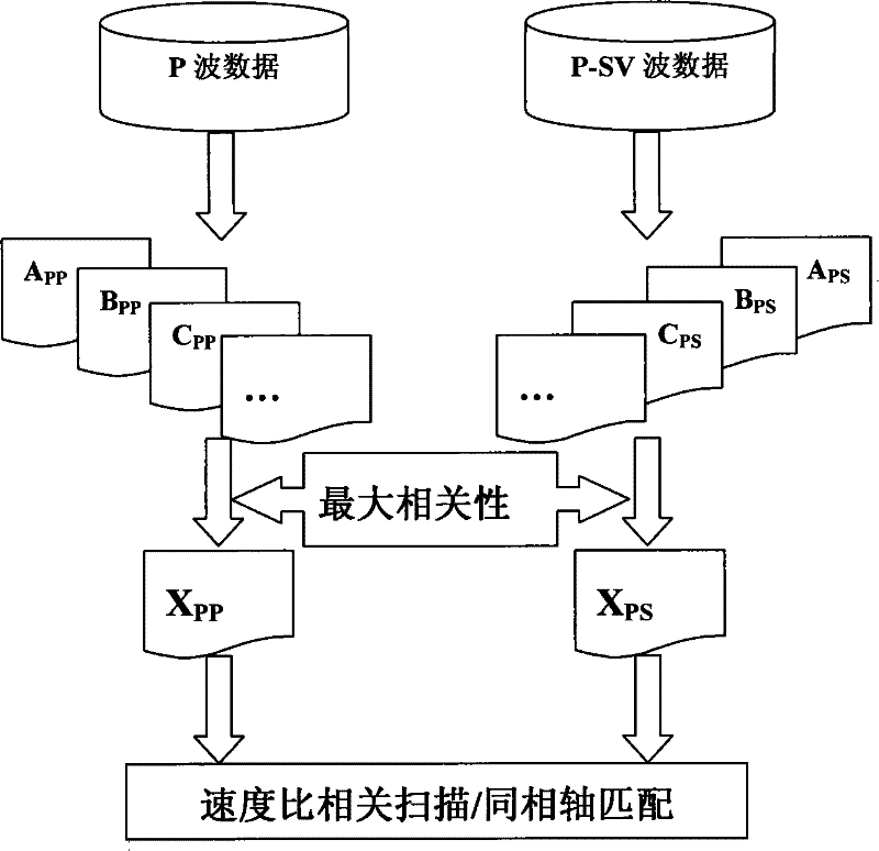 Method for comparing and demarcating multi-component seismic data positions