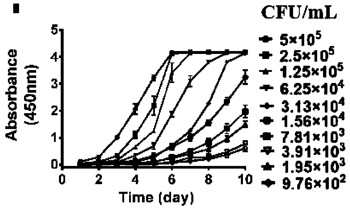 High-throughput drug sensitivity detection kit as well as use method and application thereof