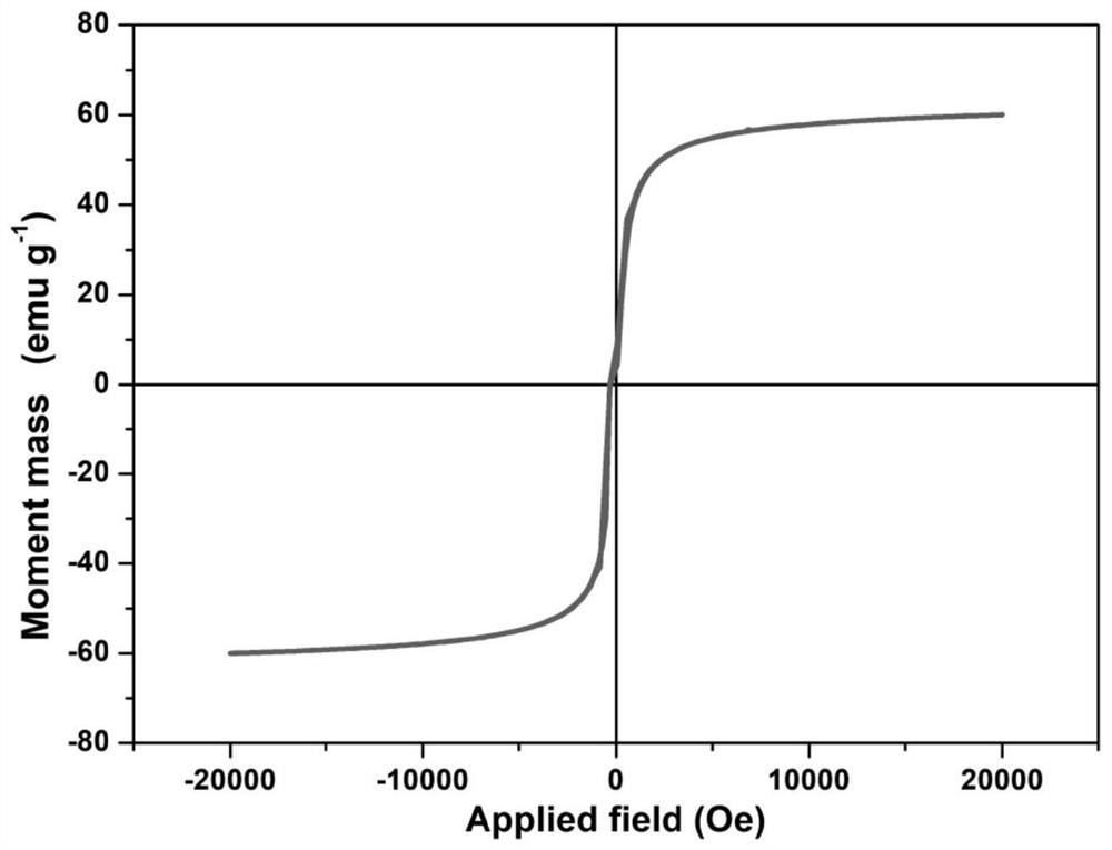 Method for releasing bionic magnetic vesicles based on macrophages and application of bionic magnetic vesicles