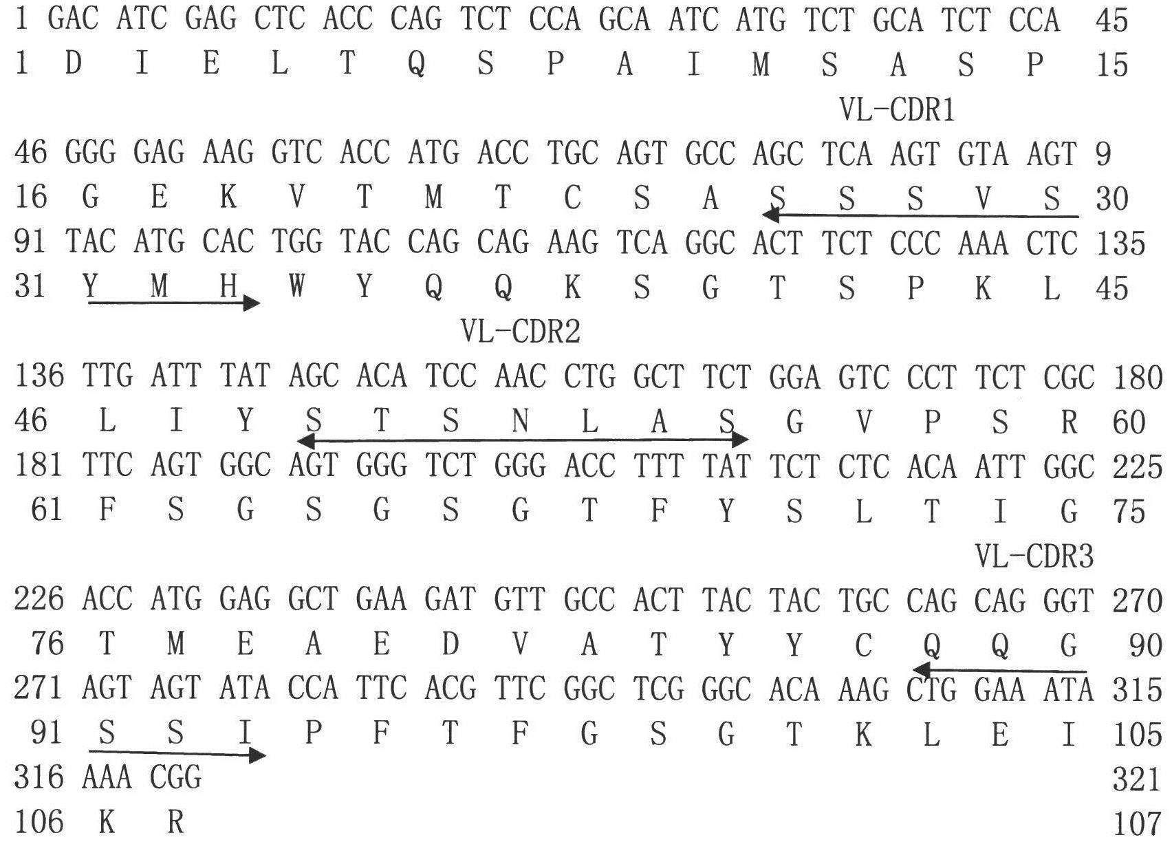 Single-chain antibody for resisting influenza viruses, preparation method for single-chain antibody, application of single-chain antibody