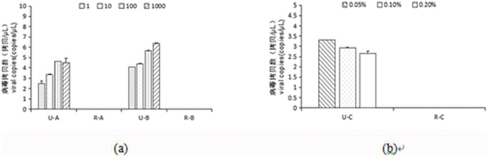 Siniperca chuatsi infectious spleen and kidney necrosis virus (ISKNV) inactivation rapid detection kit and detection method