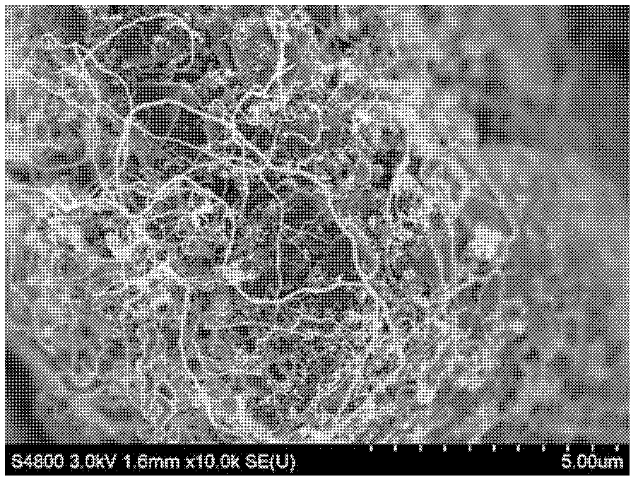 Lithium-ion battery negative electrode material and preparation method thereof, lithium-ion battery