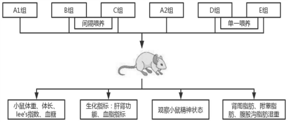 High-fat feed for efficiently constructing mouse obesity model and modeling method