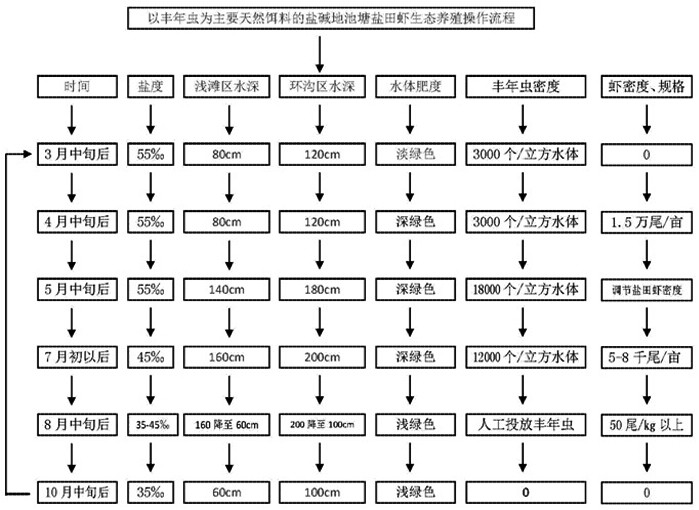 Saline-alkali land pond salt-pan shrimp ecological breeding method with fairy shrimps as main natural bait