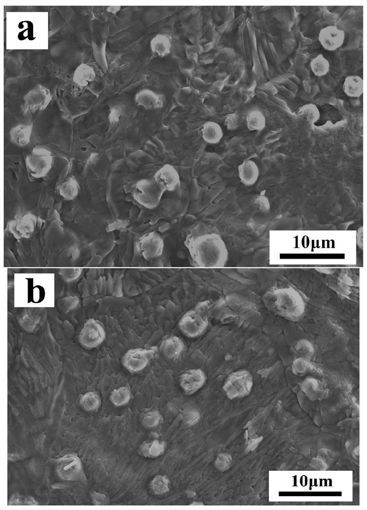 Bone repair material and preparation method thereof