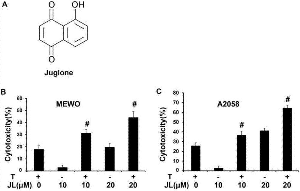 Application of juglone in preparation of TRAIL sensitizer