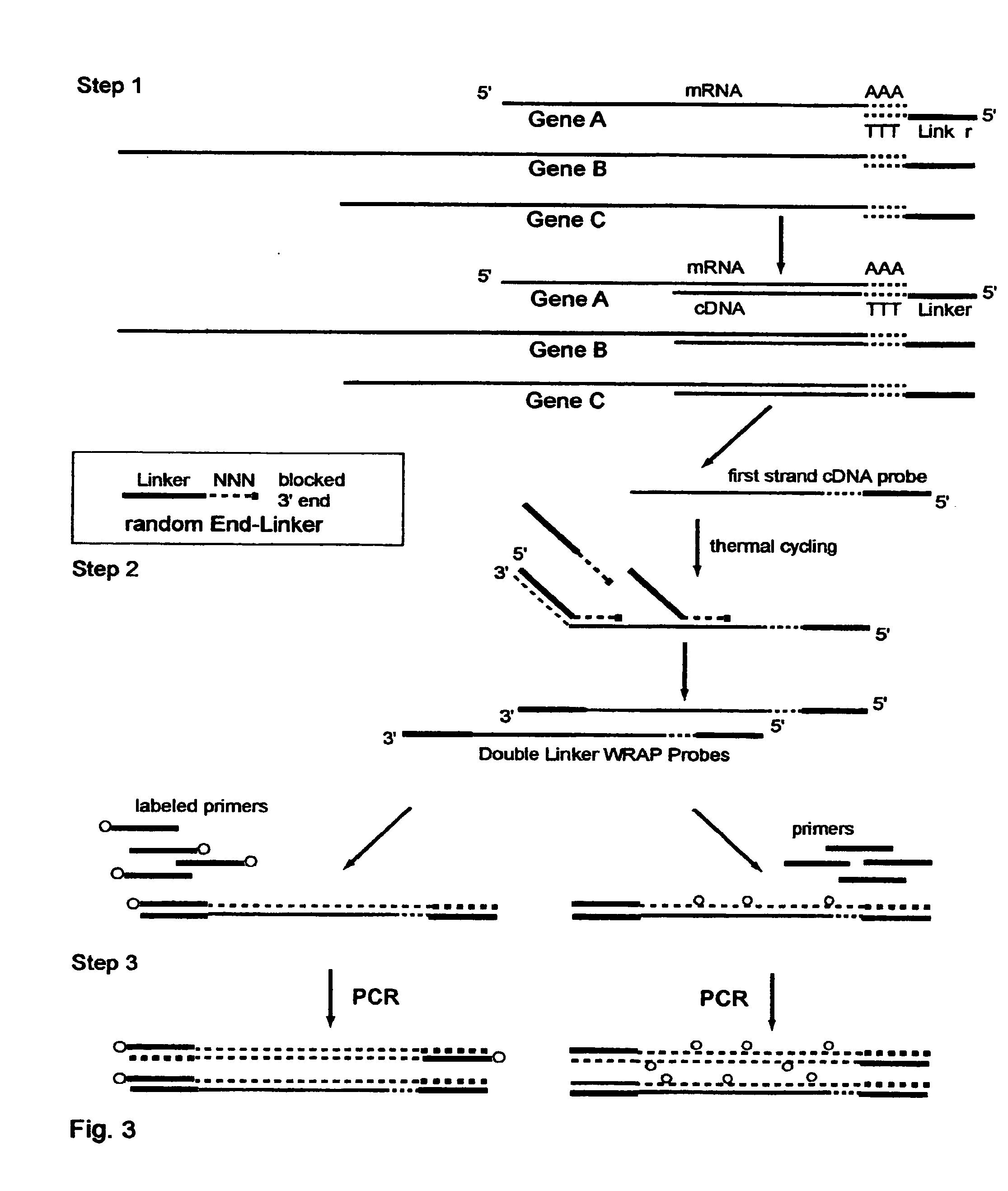 Systems and Methods to Quantify and Amplify Both Signaling and Probes for CDNA Chips and Gene Expression Microarrays