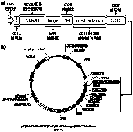 Chimeric receptor targeting human membrane-bound and soluble NKG2D ligands, nucleic acid molecule, immune effector cell and application thereof