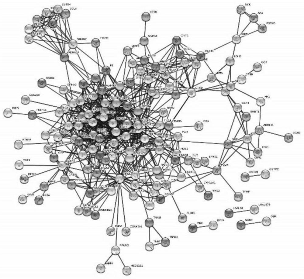 Method for analyzing anti-cervical cancer action mechanism of corilagin based on network pharmacology and molecular docking