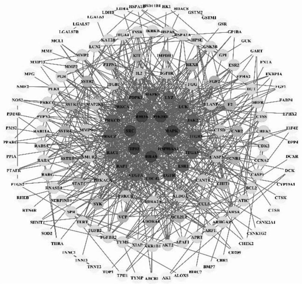 Method for analyzing anti-cervical cancer action mechanism of corilagin based on network pharmacology and molecular docking