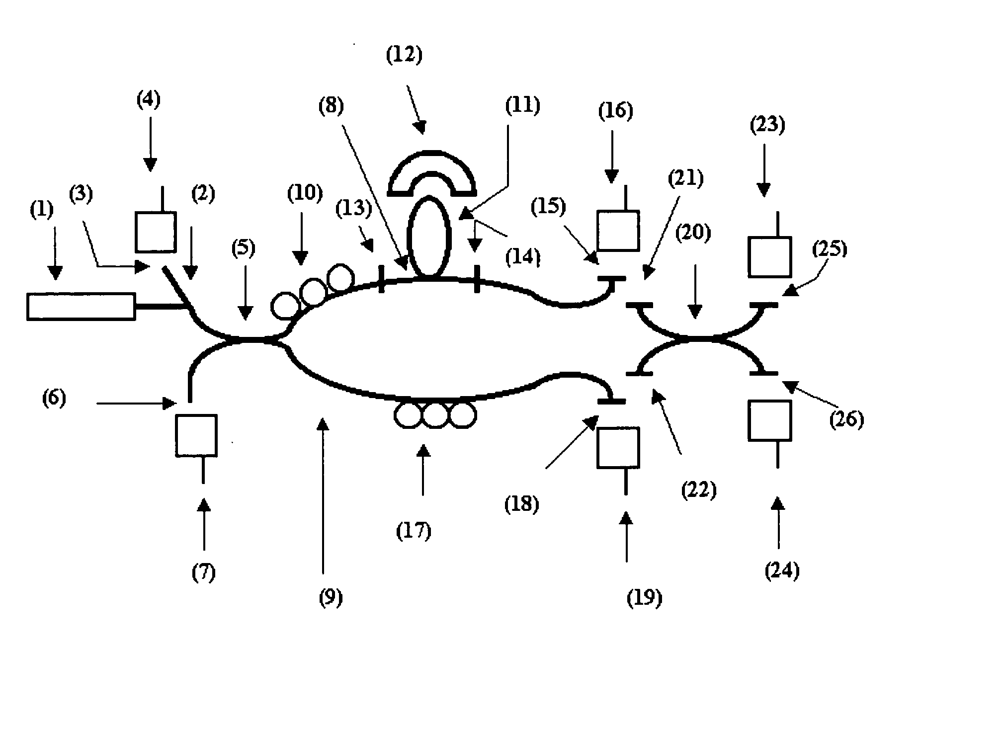 Method for the Detection of Microorganisms by Fiber Optics