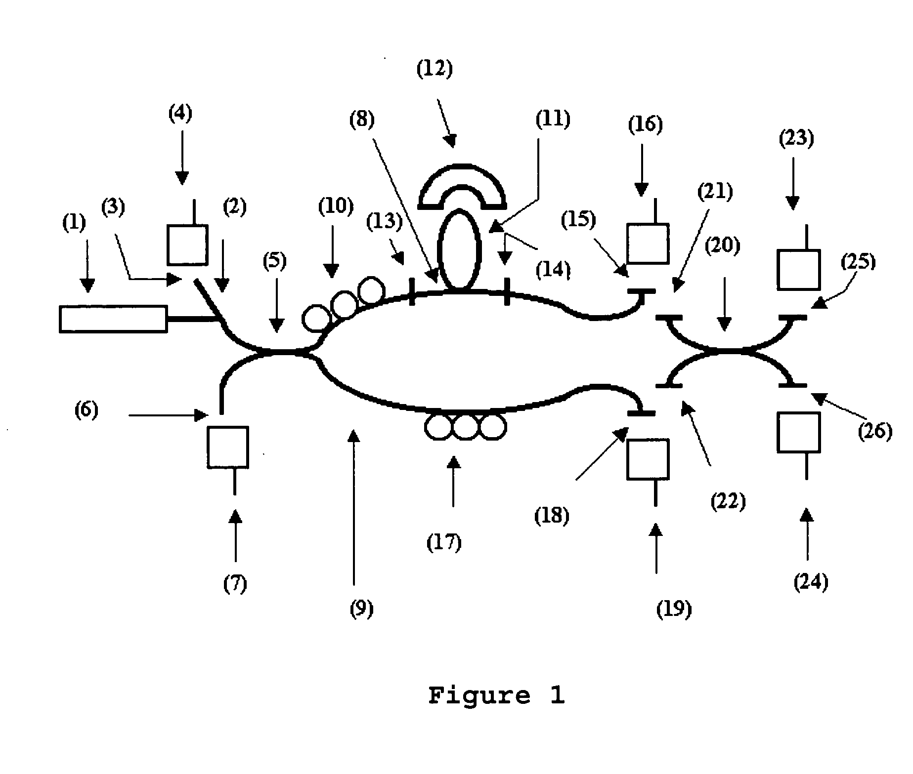 Method for the Detection of Microorganisms by Fiber Optics