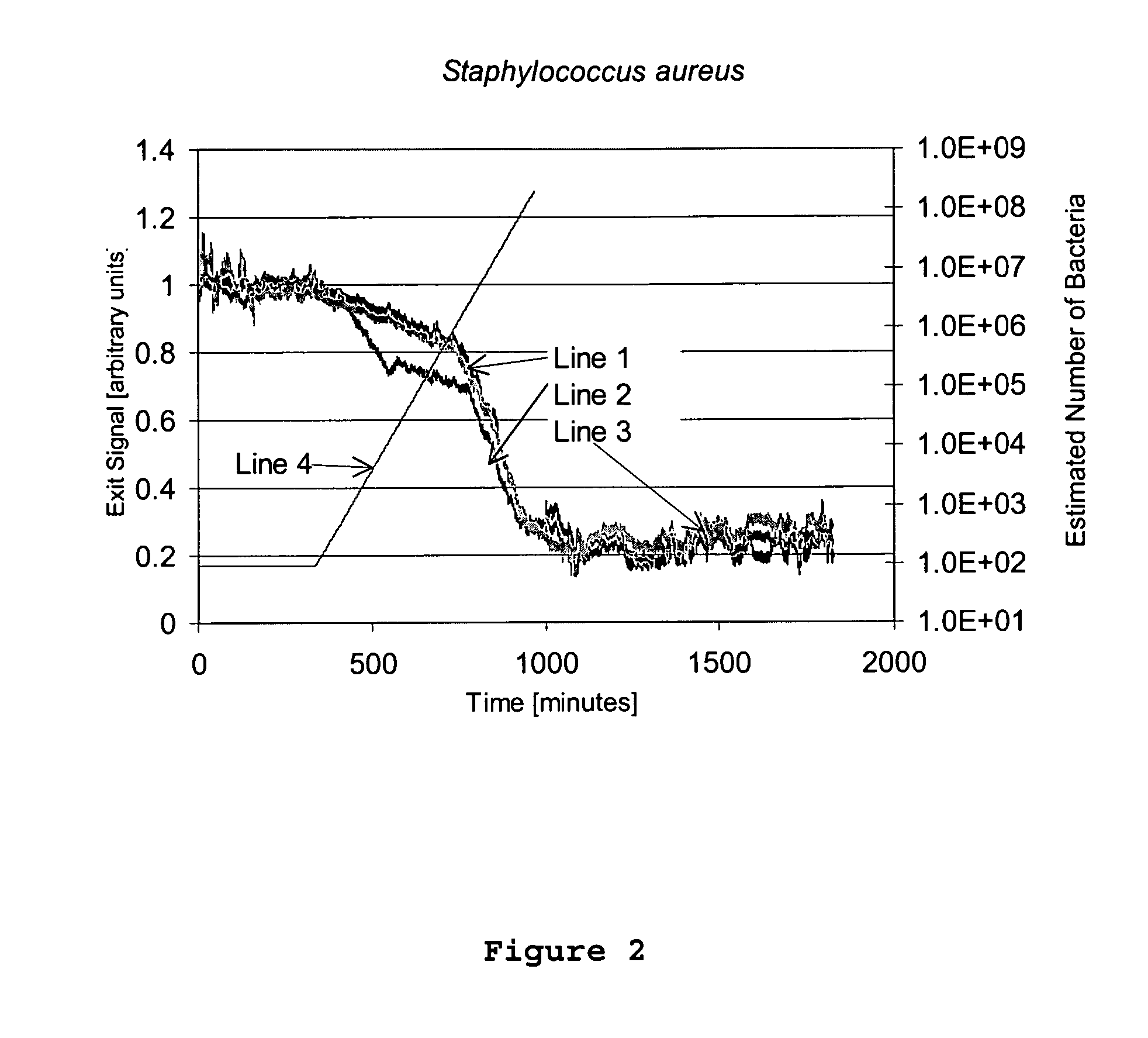 Method for the Detection of Microorganisms by Fiber Optics