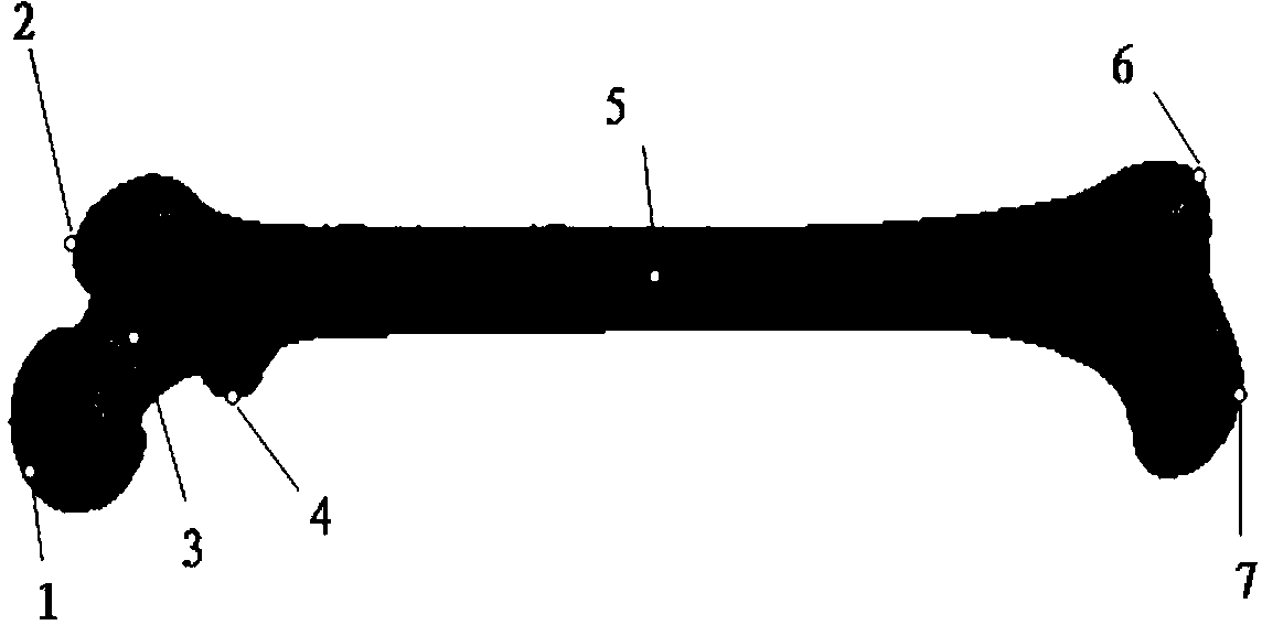 Compatibility mesh segmentation based skeleton parameter computation method