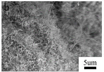 Preparation method of carbon/carbon nano tube composite foam adsorption material