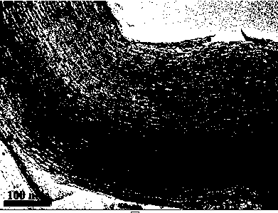 Transitional metal oxide/nitrogen-doped ordered mesoporous carbon composite material and preparation method thereof