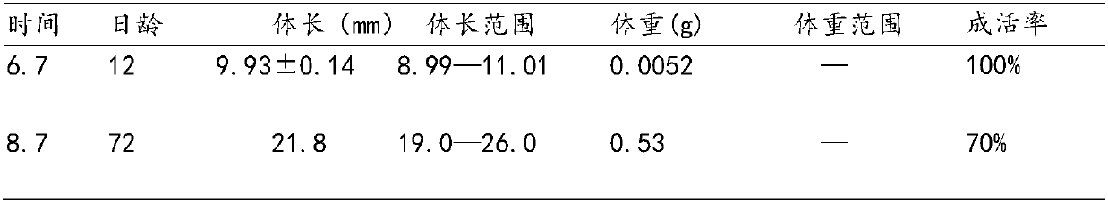 Method for supplying glyptosternon maculatum initial feed