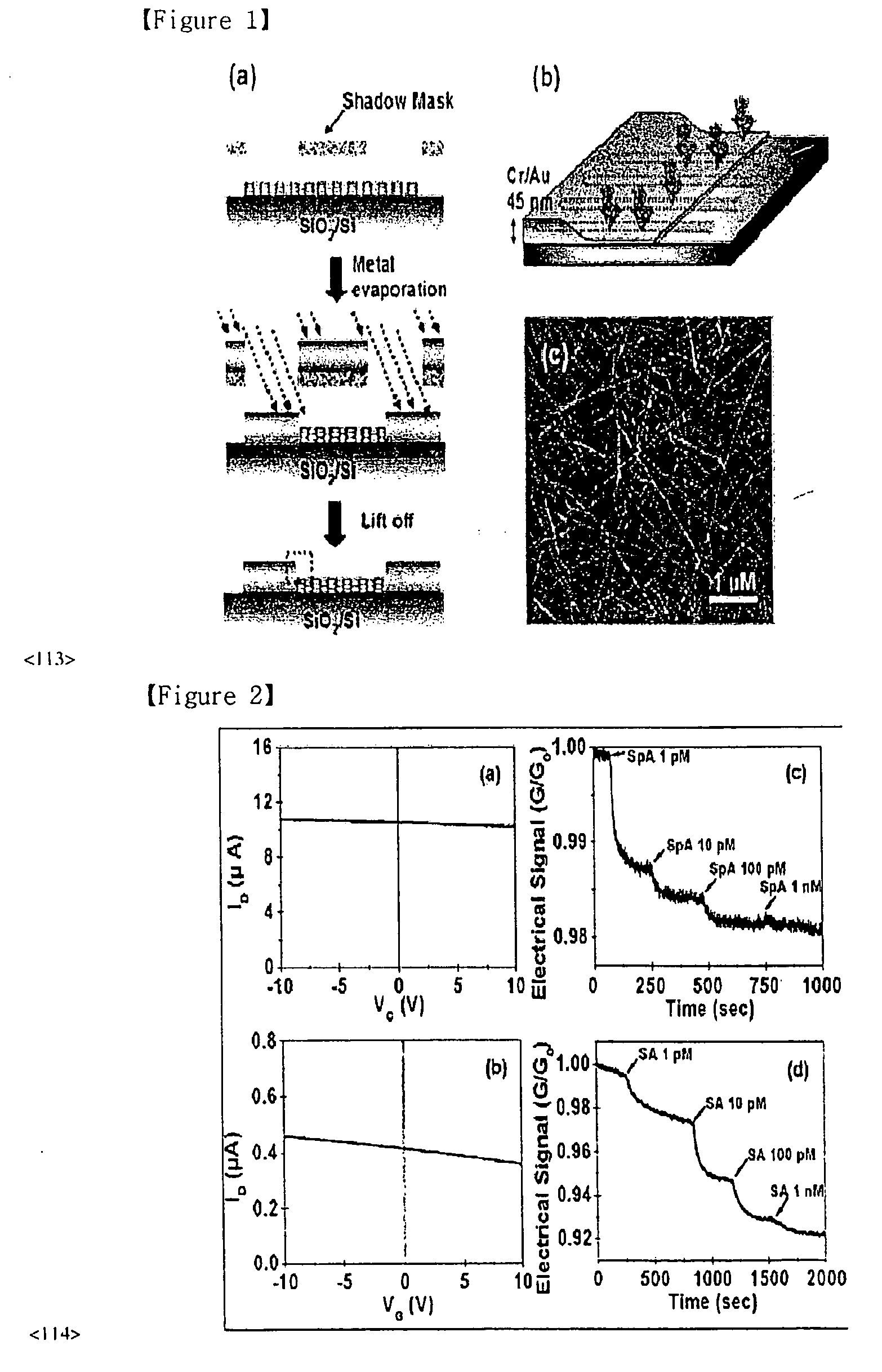 Fet based sensor for detecting biomolecule, method for preparing the same, and method for detecting biomolecule using the fet based sensor