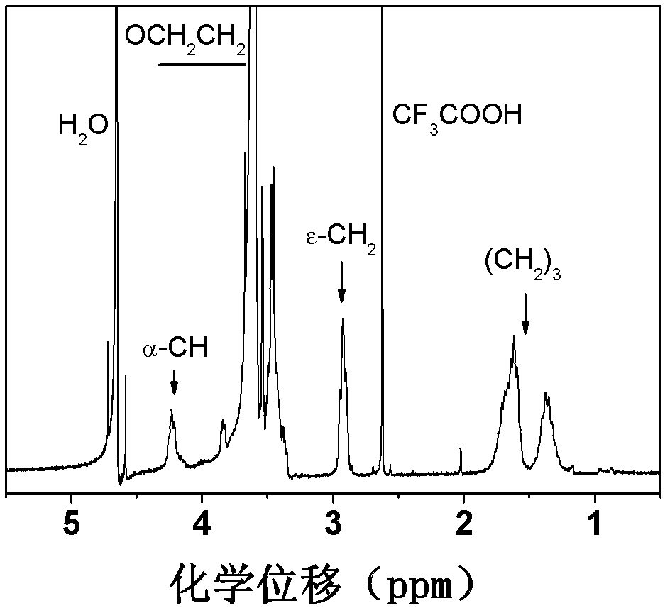 Supermolecular hydrogel and preparation method and application thereof