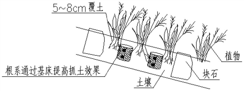 Mudstone ecological slope protection structure of columnar geogrid foundation bed