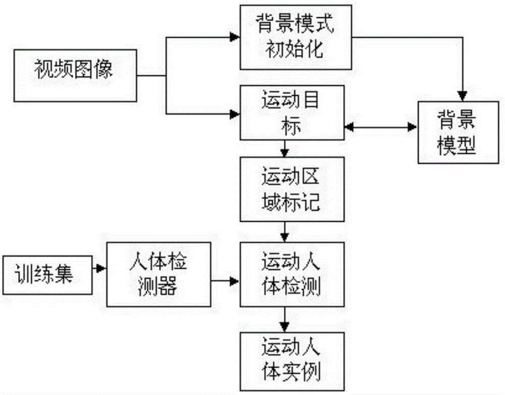 Multisensory biological recognition interaction method for naked eye 3D advertisement