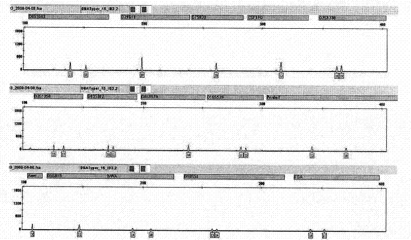 Method for extracting and purifying DNA