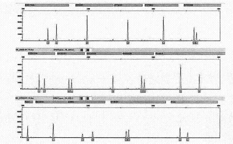 Method for extracting and purifying DNA