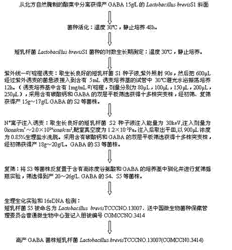 Method for producing high-yield gamma-propalanine and application thereof