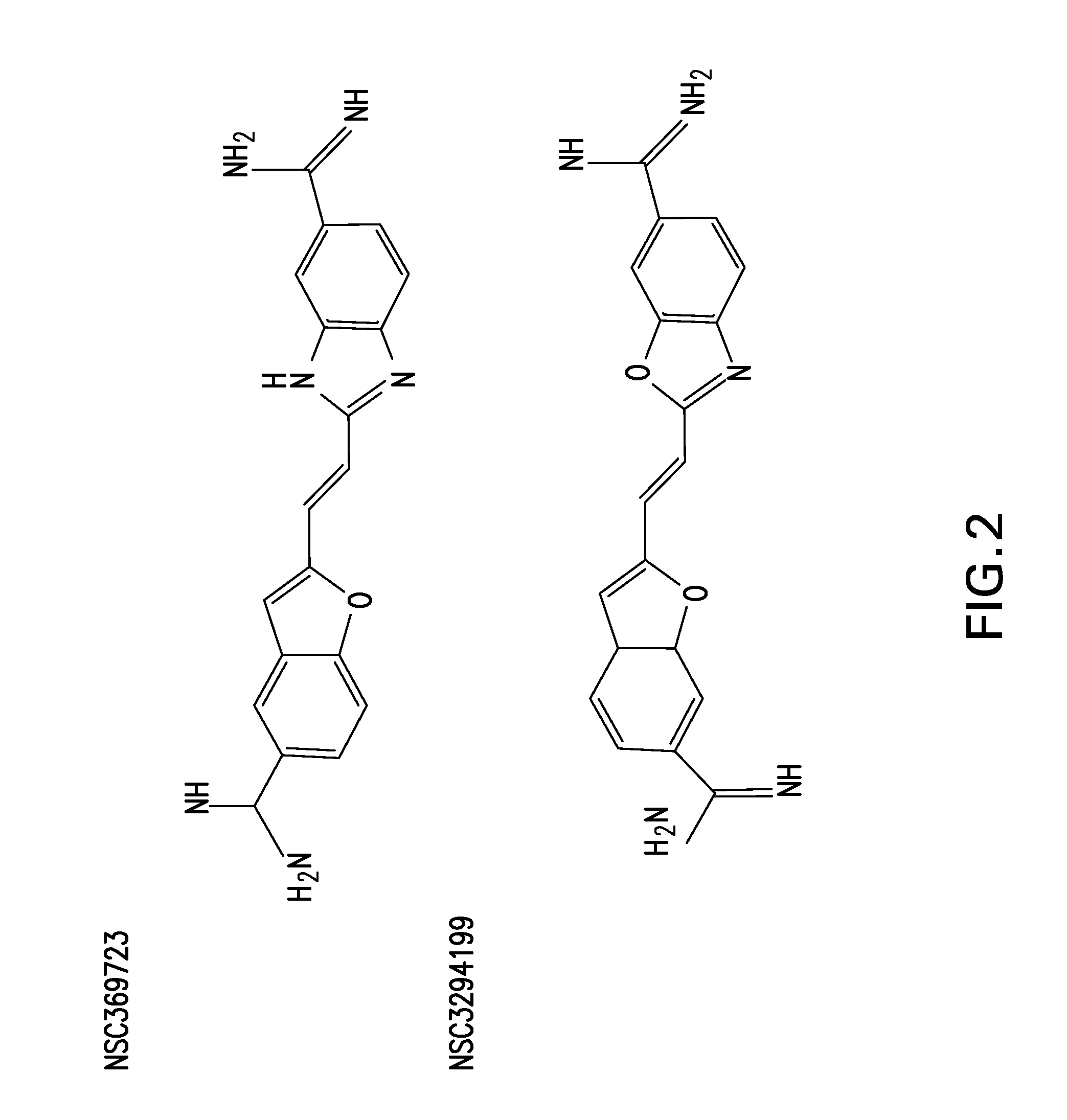 Methohds of inhibiting viral infection