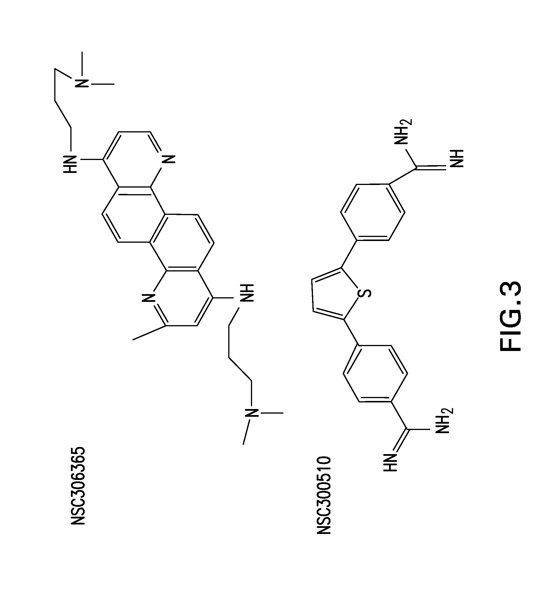 Methohds of inhibiting viral infection