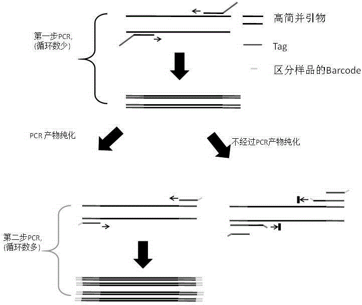 Methane/ ammoxidation bacterial community structure analysis method based on two-step method