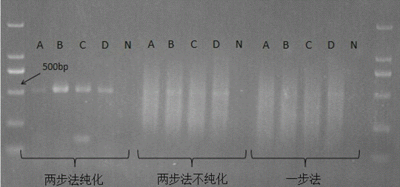 Methane/ ammoxidation bacterial community structure analysis method based on two-step method